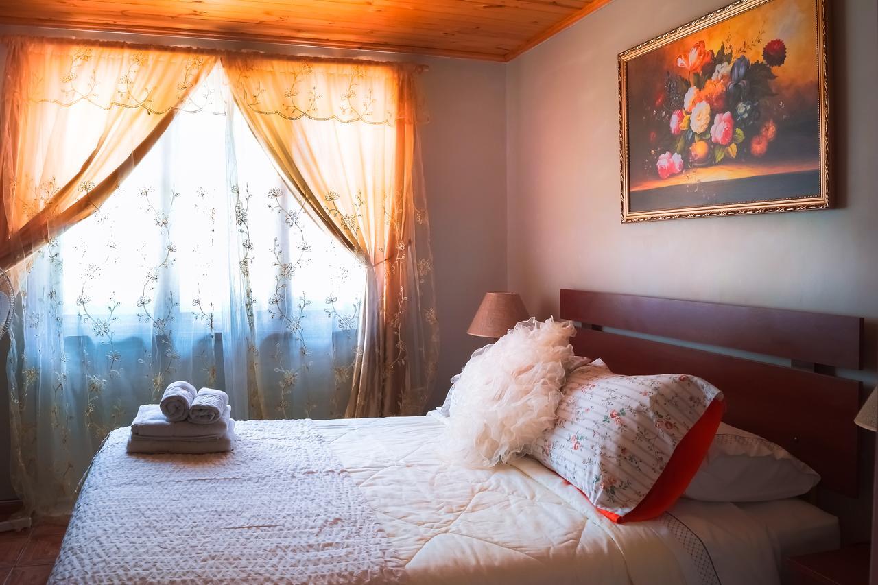 Homestay In Chile B&Bクリコ エクステリア 写真