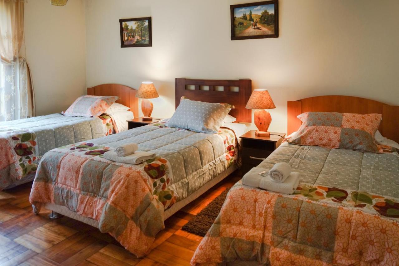 Homestay In Chile B&Bクリコ エクステリア 写真