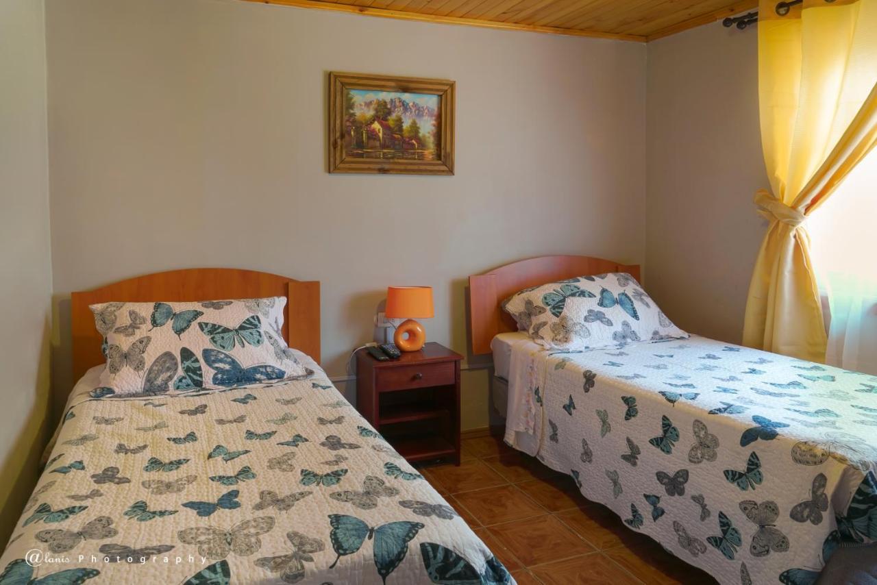 Homestay In Chile B&Bクリコ エクステリア 写真
