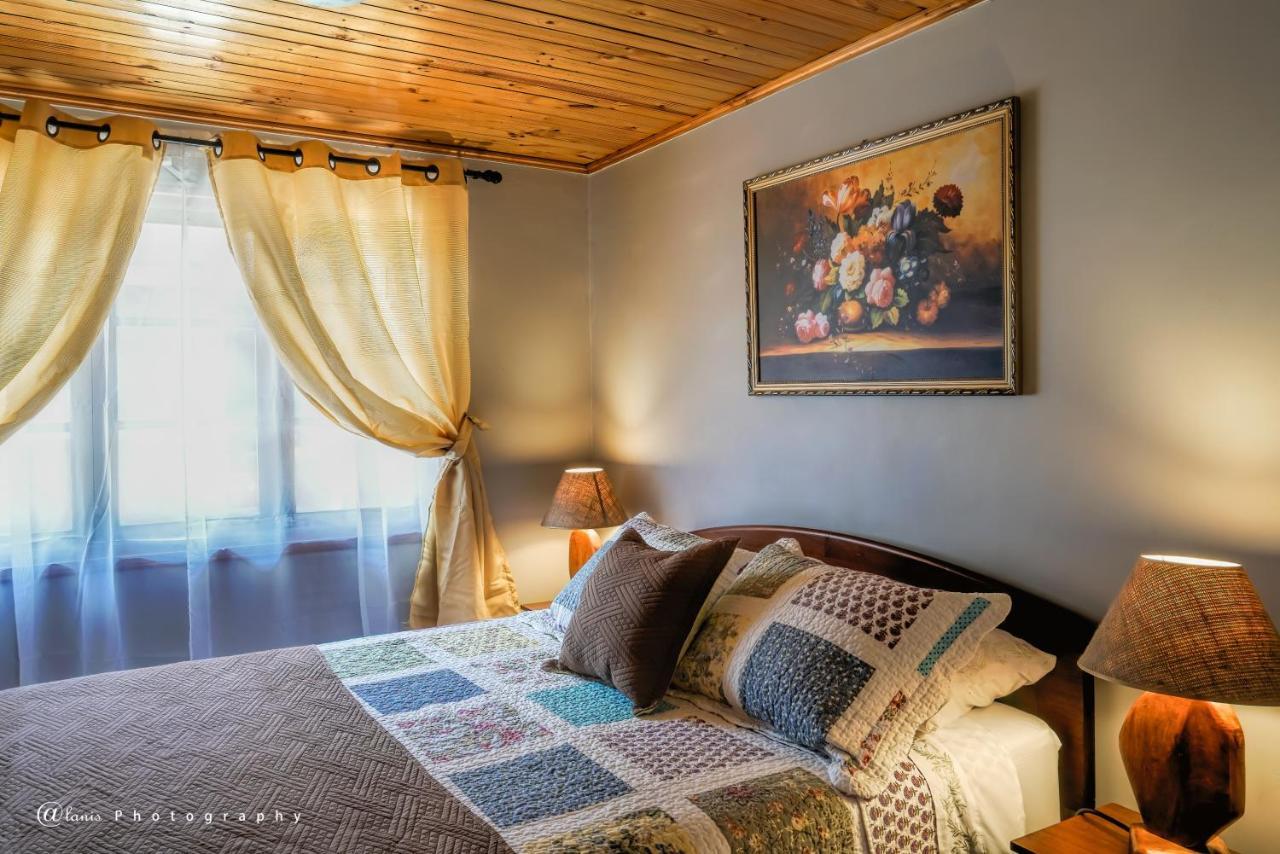 Homestay In Chile B&Bクリコ エクステリア 写真